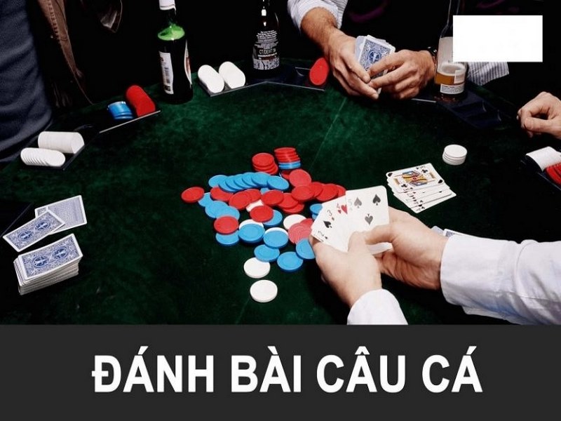 trò chơi bài câu cá 4 người 