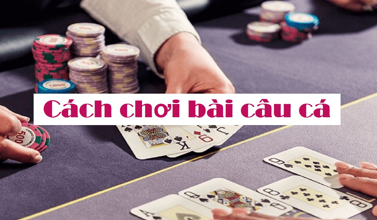 Cách đánh bài câu cá dễ hiểu nhất