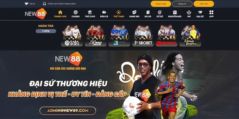 đại sứ của new88